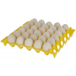 Plateau Porte œufs